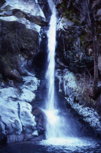 pinevalleyfalls.jpg