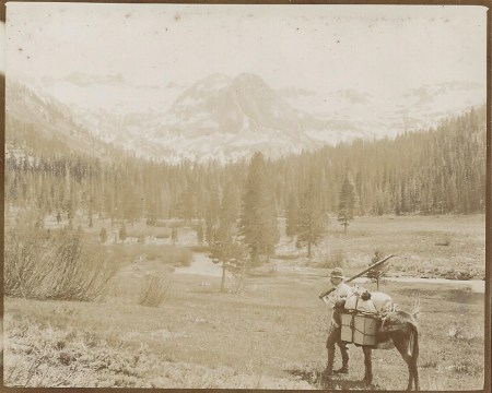 Upper Kennedy Meadows