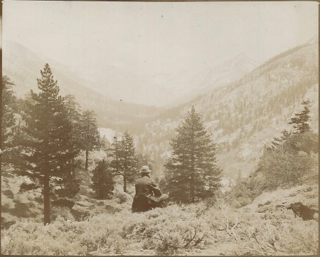View toward Kennedy Pass