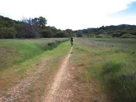 58818387_10217653558346242_8525235359271878656_o