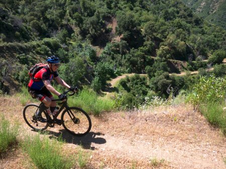 59299098_10217653556466195_6730837467982725120_o-1